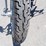 1975-harley-davidson-iron-head-sportster-3a35016h5-image-30