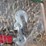 unused-greatbear-9,200-lb-ratchet-binder(s)-&-image-4