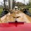 1970-656-farmall-hydro-diesel-row-crop-golden-demonstrator-image-12