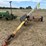 westfield-auger-image-9