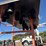 #9652-•-road-construction-lighted-arrow-signs-image-5