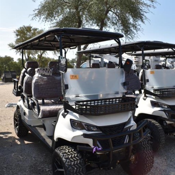 HQ100 ELECTRIC GOLF CART (SERIAL # LC10026040187) (K)