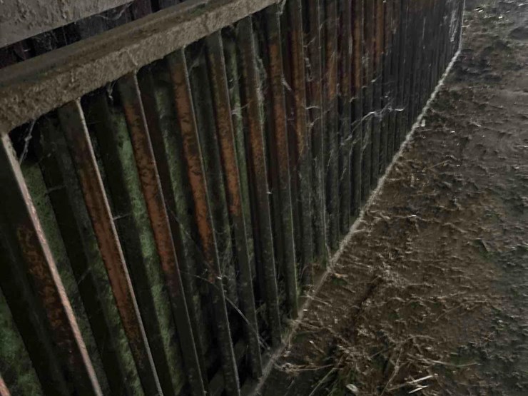 2--15-1/2’-heavy-steel-hog-gates-image-10