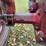 1952-farmall-super-c-image-70