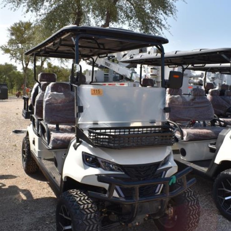 HQ100 ELECTRIC GOLF CART (SERIAL # LC10026040358) (K)