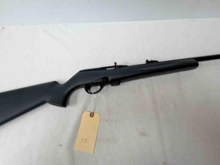 remington-597-22lr-rifle-image-1