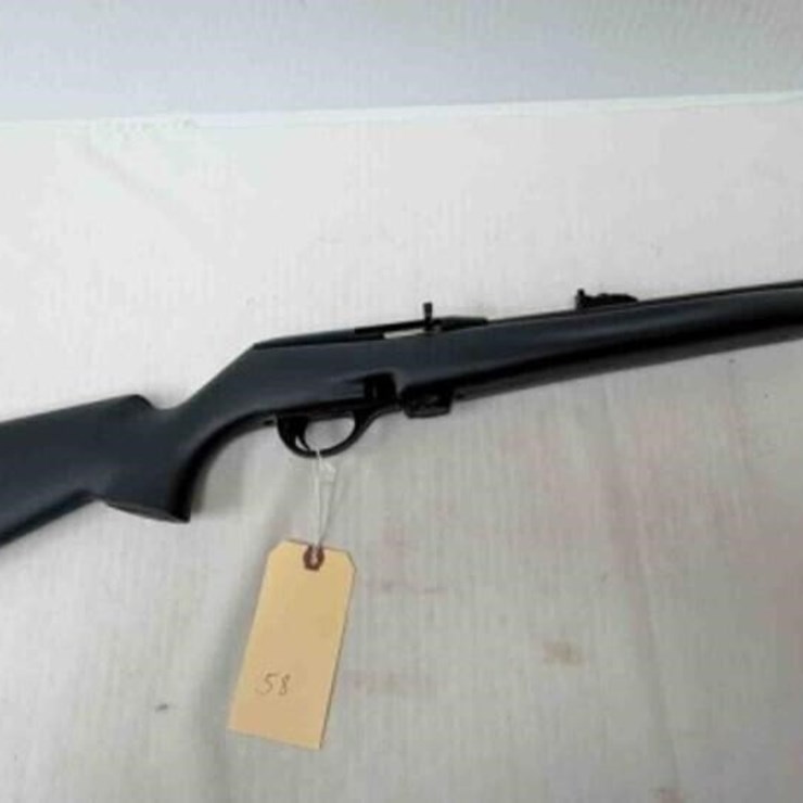Remington 597 22LR Rifle
