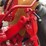 1970-1456-farmall-row-crop-mfwa-golden-demonstrator-image-76