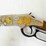 henry-golden-boy-2nd-amendement-22lr-rifle-image-22