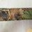 stoeger-turkey-12g-shotgun-image-15