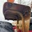 1970-farmall-826-diesel-row-crop-golden-demonstrator-image-51