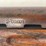 sks-59/667.62x39-rifle-image-34