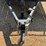 2022-powerhouse-flatbed-trailer-image-11