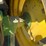 john-deere-6105d-image-22