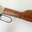 henry-golden-boy-2nd-amendement-22lr-rifle-image-16