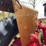 1970-656-farmall-hydro-diesel-row-crop-golden-demonstrator-image-41