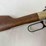 henry-golden-boy-2nd-amendement-22lr-rifle-image-4