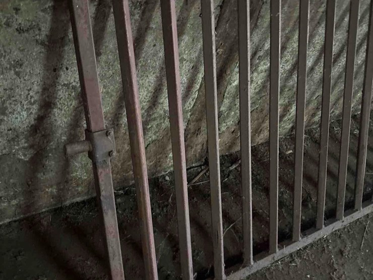 2-heavy-steel-hog-gates-image-4