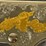 henry-golden-boy-2nd-amendement-22lr-rifle-image-7