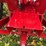 1970-farmall-544-hydro-diesel-row-crop-golden-demonstrator-image-63