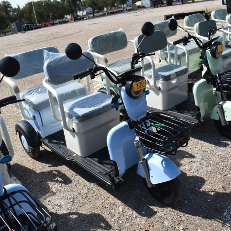 MINI ELECTRIC GOLF CART (SERIAL # LQXH202605JS00130) (K)