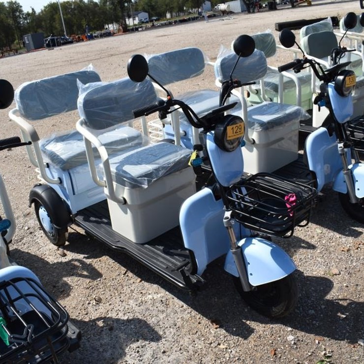 MINI ELECTRIC GOLF CART (SERIAL # LQXH202605JS00192) (K)