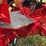1970-656-farmall-hydro-diesel-row-crop-golden-demonstrator-image-55
