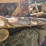 2012-caterpillar-d6t-image-15