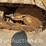 caterpillar-953-image-8