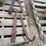 old-heavy-duty-timber-tongs-image-1