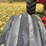 1970-farmall-544-hydro-diesel-row-crop-golden-demonstrator-image-88