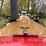 1970-farmall-826-hydro-diesel-row-crop-golden-demonstrator-image-12