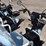 mini-electric-golf-cart-(serial-#-lqxh202605js00269)-(k)-image-5