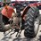 massey-ferguson-235-image-3