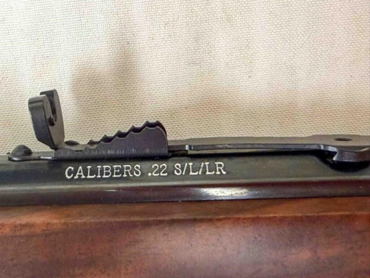 henry-golden-boy-2nd-amendement-22lr-rifle-image-11