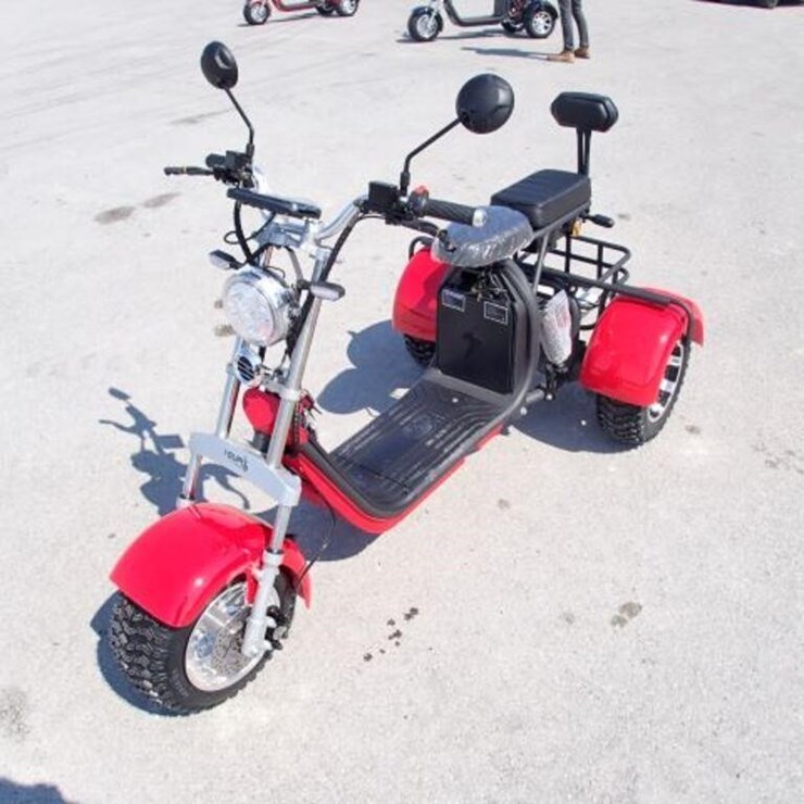 2024 Shansu YouPi 60V Electric Tricycle R36CP3010R