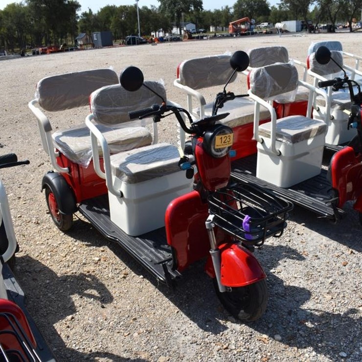 MINI ELECTRIC GOLF CART (SERIAL # LQXH202605JS00123) (K)