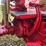 1970-1456-farmall-row-crop-golden-demonstrator-image-32