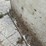 2-61/2’-long-portable-cement-walls-image-9
