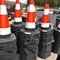 area-farmer-liquidation-auction---ring-b-image-6