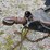 nlb-corp.-40235dg-trailer-mounted-water-blaster-image-7