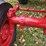 1970-farmall-826-hydro-diesel-row-crop-golden-demonstrator-image-19