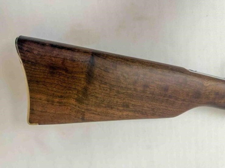 henry-golden-boy-2nd-amendement-22lr-rifle-image-15