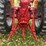 1970-farmall-826-hydro-diesel-row-crop-golden-demonstrator-image-40