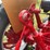 1970-farmall-544-hydro-diesel-row-crop-golden-demonstrator-image-70