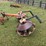 kuhn-haybob-300-image-2