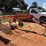 kuhn-ga4220-rotary-rake-7892-image-6
