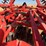2012-kuhn-krause-8200-twin-offset-disc-image-18