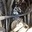 2012-volvo-fc2421c-image-34