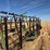 herman-80'-spring-tine-harrow-image-16